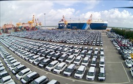 Các hãng tàu liên tục cập cảng Hải Phòng trong dịp Tết