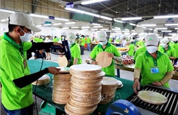 TP Hồ Chí Minh: 95% lao động quay lại làm việc sau Tết
