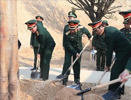 Bộ Quốc phòng phát động &#39;Tết trồng cây đời đời nhớ ơn Bác Hồ&#39;