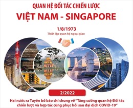 Nỗ lực quan trọng đưa quan hệ Việt Nam với Singapore và Brunei lên tầm cao mới