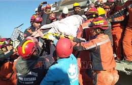 Đại sứ quán Việt Nam tại Thổ Nhĩ Kỳ tích cực tham gia công tác cứu trợ vụ động đất
