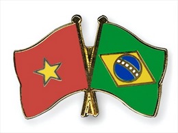 Việt Nam luôn coi Brazil là đối tác quan trọng ở Nam Mỹ