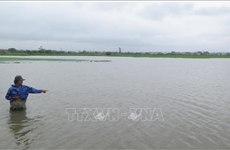 Hơn 4.500 ha lúa Đông Xuân của Thừa Thiên - Huế bị ngập úng do mưa lớn