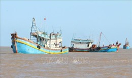 Bến Tre kêu gọi ngư dân chống khai thác thủy sản bất hợp pháp