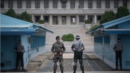 Triển lãm trực tuyến về Khu phi quân sự trên Bán đảo Triều Tiên