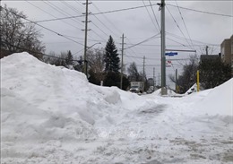 Canada: Tuyết rơi dày cản trở giao thông ở thủ đô Ottawa