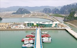 Đưa vào hoạt động Bến cảng cao cấp Ao Tiên đi các xã đảo