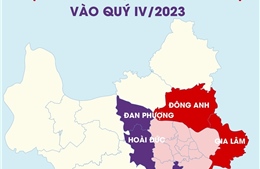 Trình Chính phủ Đề án huyện Đông Anh, Gia Lâm lên quận vào quý IV/2023