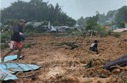 Indonesia tìm kiếm hàng chục người mất tích trong vụ lở đất