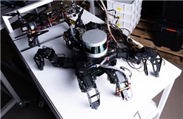 Các nhà khoa học Australia chế tạo robot có não dựa trên đặc tính của côn trùng
