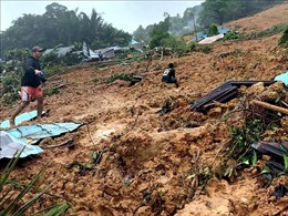 Lở đất tại Indonesia khiến nhiều người thiệt mạng và mất tích