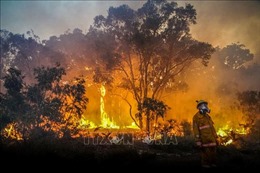 Nhiều bang tại Australia ban hành lệnh cấm đốt lửa tránh nguy cơ hỏa hoạn