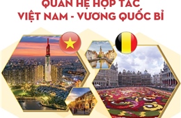 Tăng cường quan hệ hợp tác Việt Nam và Vương quốc Bỉ