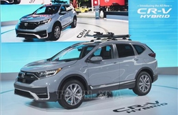 Honda thu hồi hơn 563.000 xe CR-V tại Mỹ