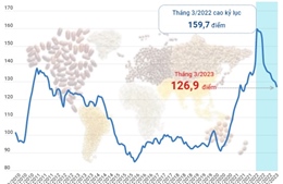 Chỉ số giá lương thực toàn cầu giảm tháng thứ 12 liên tiếp