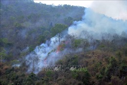 Sơn La: Khoanh vùng, khống chế vụ cháy rừng tại xã Chiềng Đông