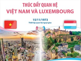 Thúc đẩy quan hệ Việt Nam - Luxembourg