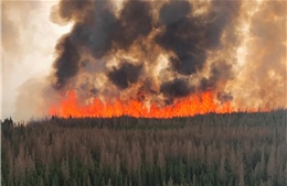 Cháy rừng vượt tầm kiểm soát ở miền Tây Canada
