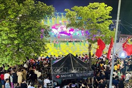 Nghệ An: Khai mạc Lễ hội đường phố &#39;Quê hương mùa sen nở&#39;