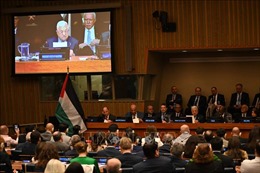Nhiều tổ chức quốc tế ủng hộ giải pháp hai nhà nước cho xung đột Israel - Palestine