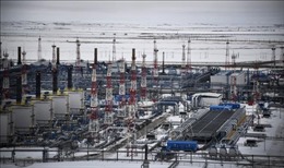 Công ty Phần Lan chấm dứt một phần hợp đồng cung cấp khí đốt với Nga