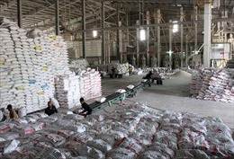 Cơ hội mở rộng thị phần xuất khẩu gạo Việt Nam