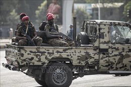 Lực lượng nổi dậy ở Ethiopia bắt đầu giải giáp