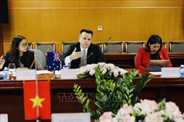 Nhiều tiềm năng hợp tác thương mại giữa Việt Nam - New Zealand