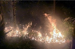 Cháy rừng ở Quảng Ninh khiến 2 người tử vong