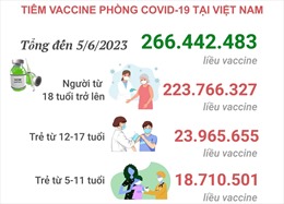 Tình hình tiêm vaccine phòng COVID-19 tại Việt Nam tính đến hết ngày 5/6/2023