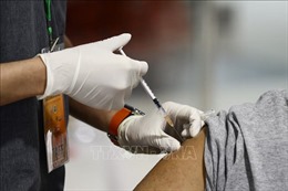 Cơ quan Dược phẩm châu Âu khuyến nghị cập nhật vaccine ngừa COVID-19
