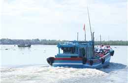  Quảng Trị: Tăng giám sát tàu cá để chống khai thác hải sản bất hợp pháp