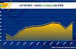 Giá trị giao dịch tại MXV đạt mức cao nhất từ tháng 11/2022