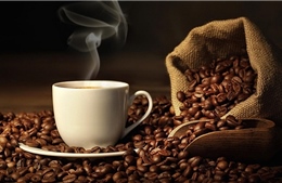 Giải pháp giúp các công ty coca, cà phê tránh vi phạm luật mới của EU