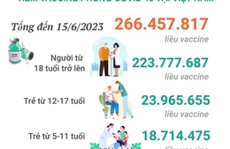 Tình hình tiêm vaccine phòng COVID-19 tại Việt Nam tính đến hết ngày 15/6/2023