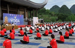 Ngày Quốc tế Yoga: Mang lại những giá trị mới về chất lượng cuộc sống