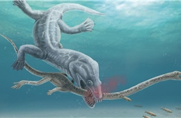 Phát hiện mới về nguyên nhân tuyệt chủng của loài &#39;quái vật&#39; biển cổ dài