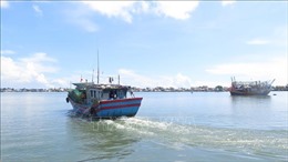 Khắc phục &#39;thẻ vàng&#39; IUU:  Thừa Thiên - Huế còn nhiều tàu cá mất kết nối