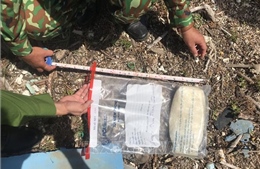 Phát hiện túi nilon nghi ma túy trôi dạt vào bờ biển tỉnh Quảng Trị