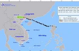 Ứng phó với bão số 1: Phú Thọ tổ chức trực ban 24/24 giờ