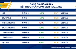 Nhóm nông sản tiếp tục dẫn dắt đà tăng trên thị trường hàng hóa