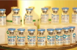 Xuất khẩu vaccine phòng bệnh dịch tả lợn châu Phi sang Philippines, Indonesia