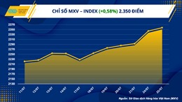 Chỉ số hàng hóa MXV-Index tăng phiên thứ sáu liên tiếp