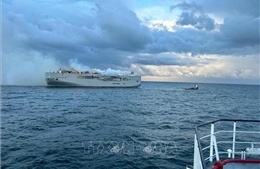 Vụ cháy tàu chở hàng ở Hà Lan: Nỗ lực ngăn chặn nguy cơ xảy ra thảm họa sinh thái