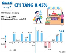 CPI tháng 7 tăng 0,45%