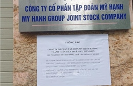Hà Nội: Khẩn trương điều tra, làm rõ dấu hiệu lừa đảo ở công ty mạo danh trồng sâm Ngọc Linh