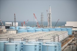 Hàn Quốc kêu gọi Nhật Bản thông tin minh bạch về xả nước thải từ Fukushima 