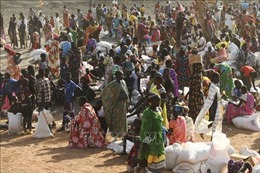 Giao tranh tại Sudan: Đoàn xe viện trợ nhân đạo của LHQ đến Đông Darfur