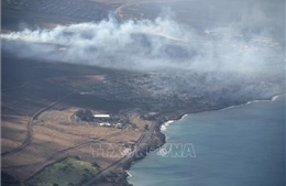 Thảm họa cháy rừng ở Hawaii (Mỹ): Con số thương vong sẽ còn tăng