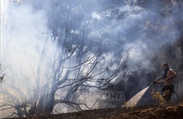 Hy Lạp nỗ lực khống chế cháy rừng tại vùng Evros